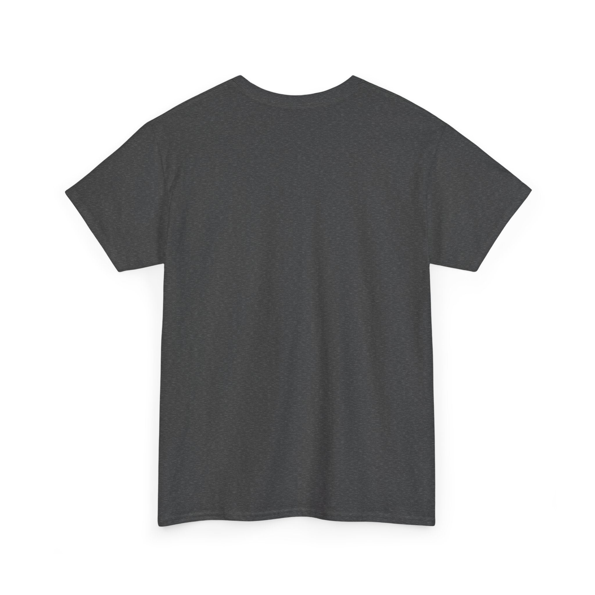 Visual Deterrent T-Shirt — Statement Tee