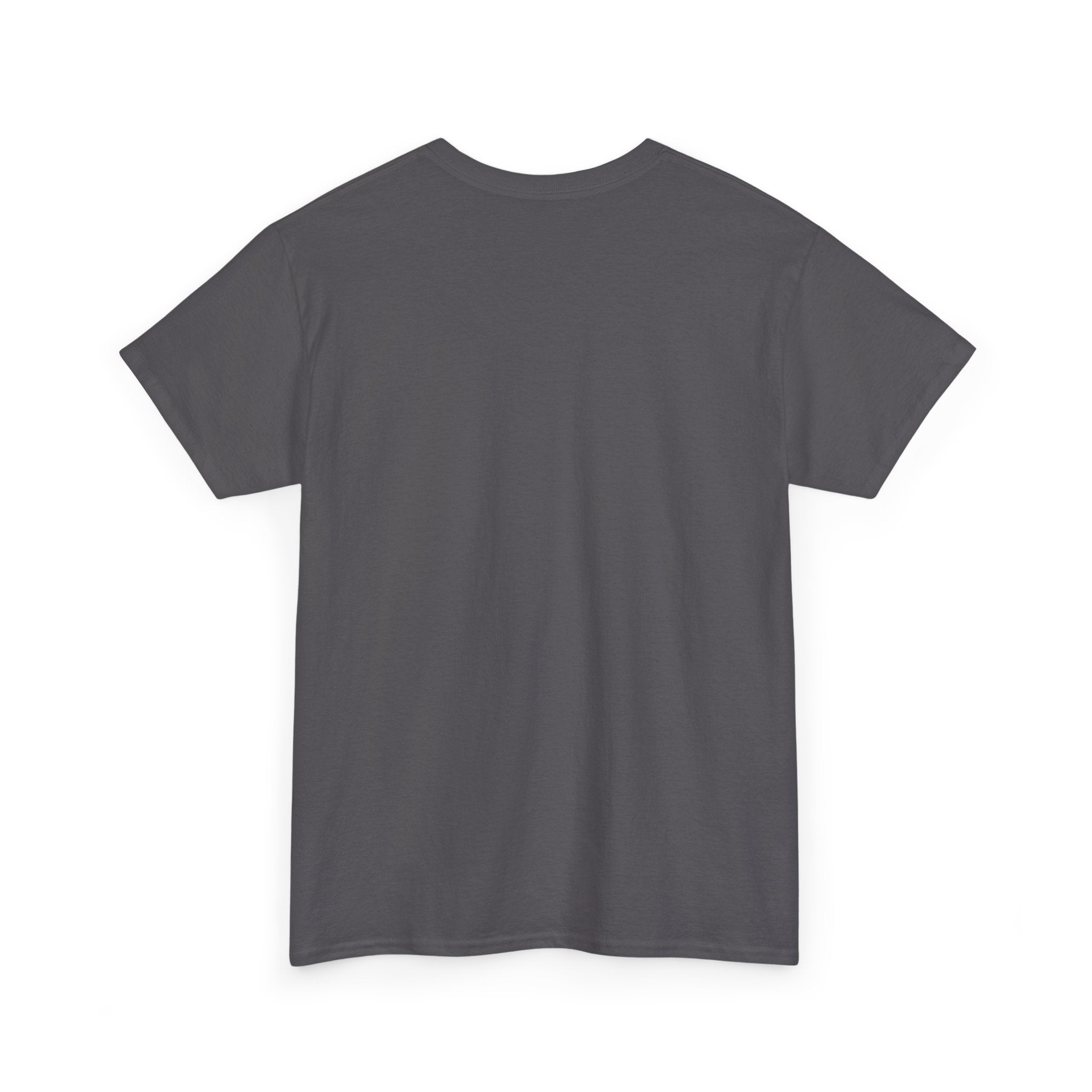 Visual Deterrent T-Shirt — Statement Tee
